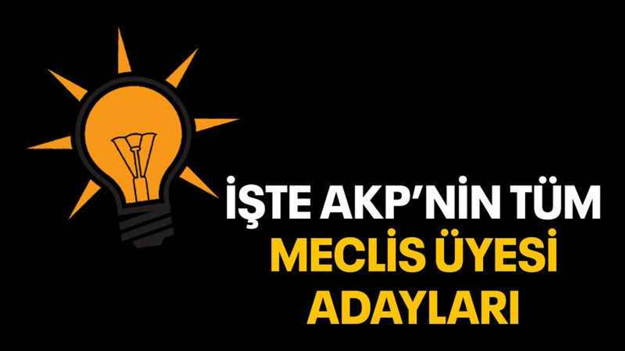 İşte AKP’nin tüm meclis üyesi adayları